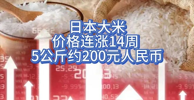 生午餐”居然也能让日本人破大防！pg电子模拟器试玩薛剑分享“学(图14)