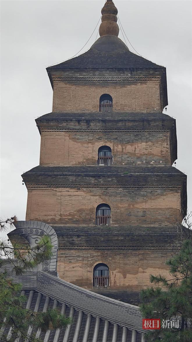 长蘑菇大雁塔受潮城墙布满青苔气象局解释成因pg电子中国网站西安连续一个多月降雨遍地(图2)